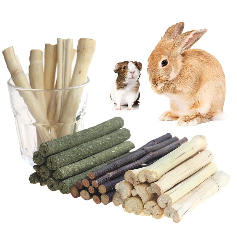 Dbeans Flourithing 300g Guinea Pig & Rabbit Chew Toys with Apple & Timothy Sticks - Prevent Overgrown Teeth with Sweet Bamboo Treats - Ideal Rabbit Treats Included - Image 1